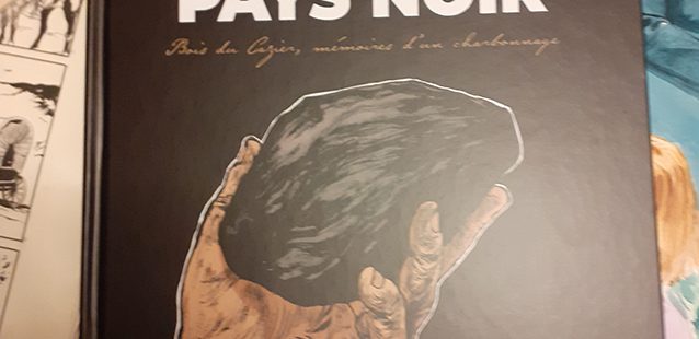 When a comic is much more than a comic: Pays Noir